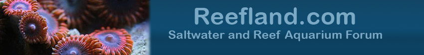 Saltwater and Reef Aquarium Forums - Reefland - Reef Aquarium Forum