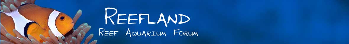 Saltwater and Reef Aquarium Forums - Reef Aquarium Forum