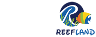 Saltwater and Reef Aquarium Forums - Reef Aquarium Forum