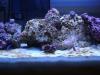New Tank 023 by Steve McKay in Member Galleries