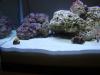 Tank 009 by Steve McKay in Member Galleries