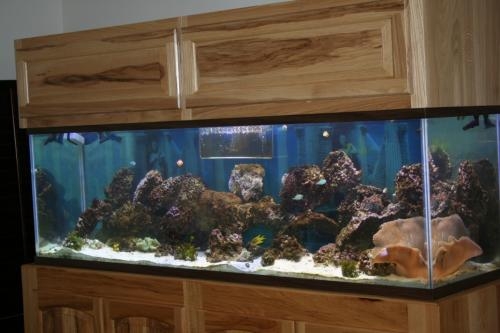 IMG_6266 by tommyc in Full Tanks