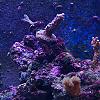 i3 by twisted in Member Galleries