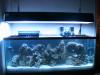 The Whole Setup by Flip121 in Full Tanks
