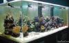 550 on 11-25-01 by kevinpo in Tank Pictures