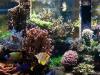 center-11-05 by kevinpo in Full Tanks