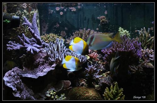 IMG_3181copy.jpg