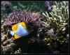 IMG_3708copy
