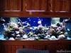 Full tank shot by dougc in Full Tanks