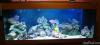Downstairs Tank (400Litres) by samsreef in Full Tanks