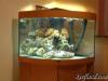 Picture of My Tank by samsreef in Full Tanks