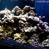 dsc00078 by BubbaWPB