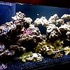 dsc00079 by BubbaWPB