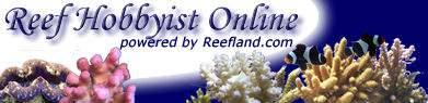 Reeflands Forum